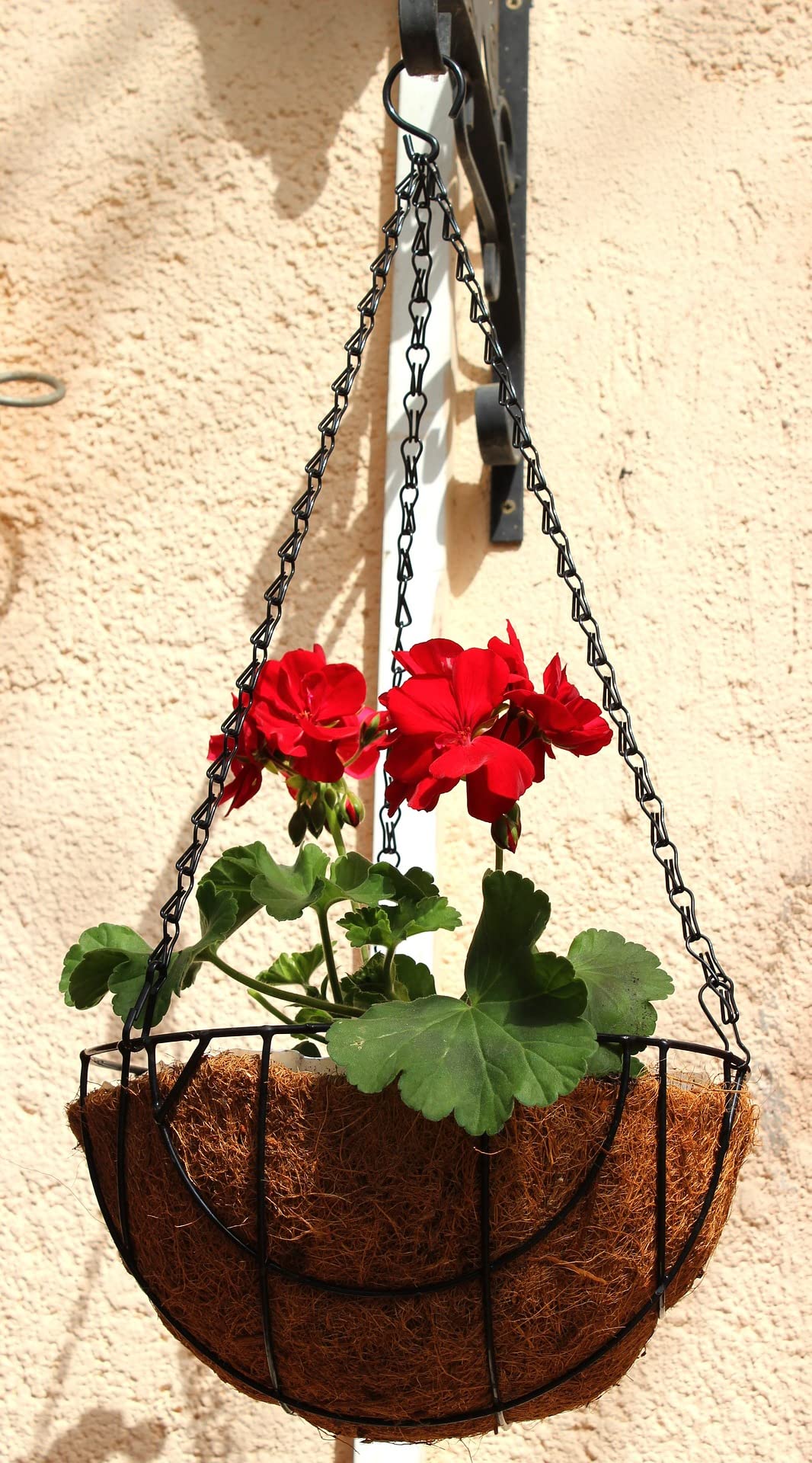 ハンキングセット ハンキングセット Amazon.co.jp: ZX popular 洗濯ハンガー 8連